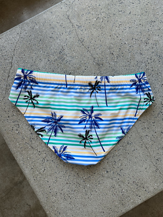 OASIS SWIM BRIEF